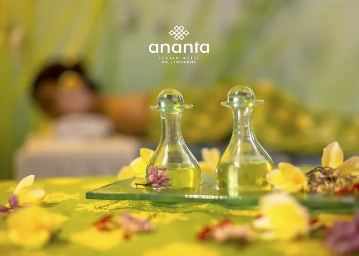 Hotel Ananta 4*